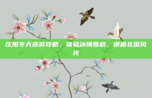 沈阳冬天旅游攻略，体验冰情雪韵，邂逅北国风光