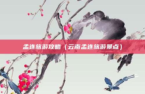 孟连旅游攻略(云南孟连旅游景点)