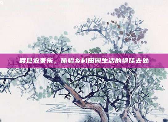 嵩县农家乐,体验乡村田园生活的绝佳去处