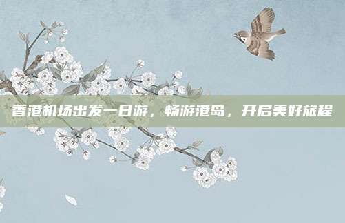 香港机场出发一日游，畅游港岛，开启美好旅程