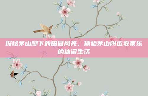 探秘茅山脚下的田园风光,体验茅山附近农家乐的休闲生活