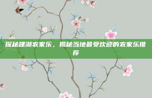 探秘建湖农家乐，揭秘当地最受欢迎的农家乐推荐