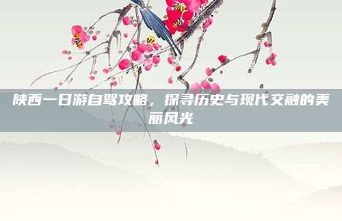 陕西一日游自驾攻略,探寻历史与现代交融的美丽风光