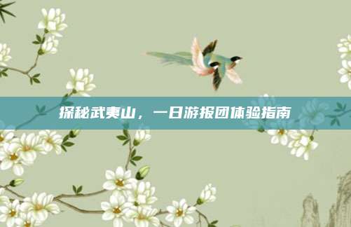 探秘武夷山，一日游报团体验指南