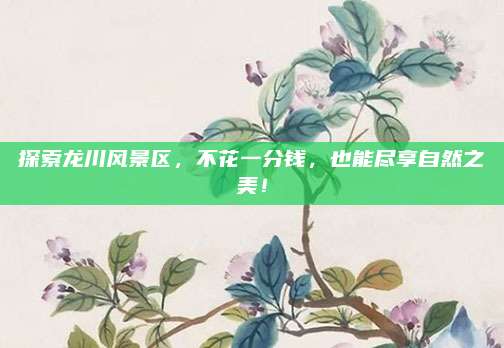 探索龙川风景区,不花一分钱,也能尽享自然之美!