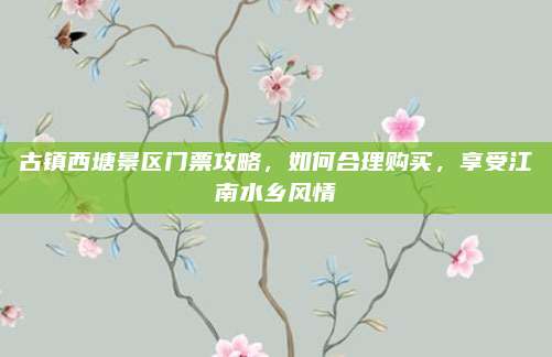 古镇西塘景区门票攻略,如何合理购买,享受江南水乡风情