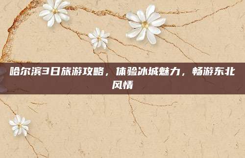 哈尔滨3日旅游攻略，体验冰城魅力，畅游东北风情