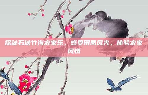 探秘石塘竹海农家乐,感受田园风光,体验农家风情
