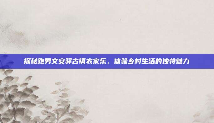 探秘跑男文安驿古镇农家乐，体验乡村生活的独特魅力