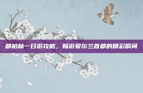 都柏林一日游攻略,畅游爱尔兰首都的精彩瞬间