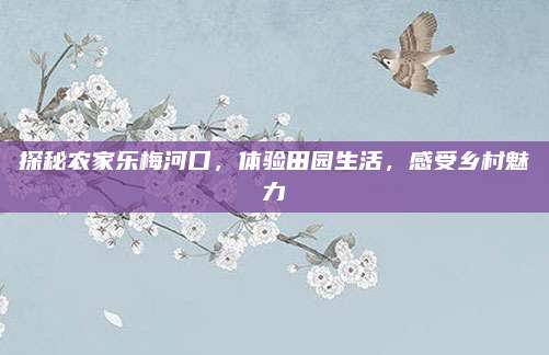 探秘农家乐梅河口，体验田园生活，感受乡村魅力