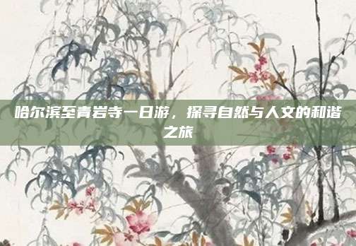 哈尔滨至青岩寺一日游，探寻自然与人文的和谐之旅