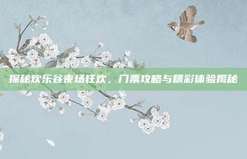 探秘欢乐谷夜场狂欢，门票攻略与精彩体验揭秘