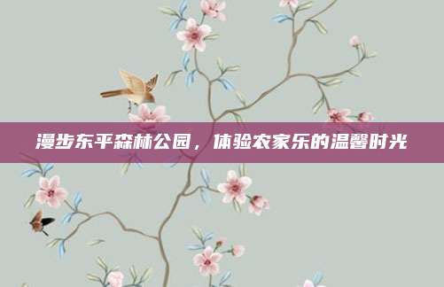 漫步东平森林公园,体验农家乐的温馨时光