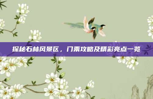 探秘石林风景区,门票攻略及精彩亮点一览