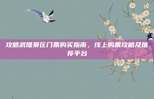 攻略武隆景区门票购买指南，线上购票攻略及推荐平台
