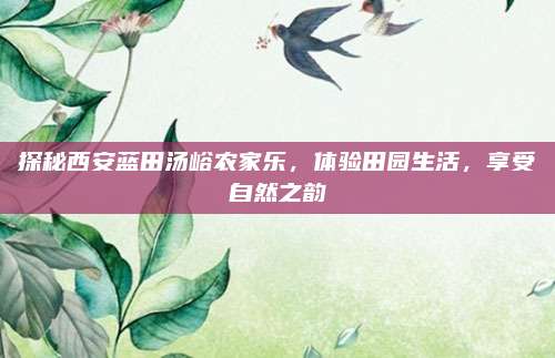 探秘西安蓝田汤峪农家乐，体验田园生活，享受自然之韵