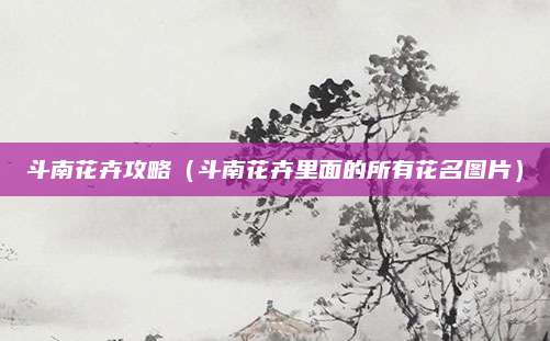 斗南花卉攻略（斗南花卉里面的所有花名图片）