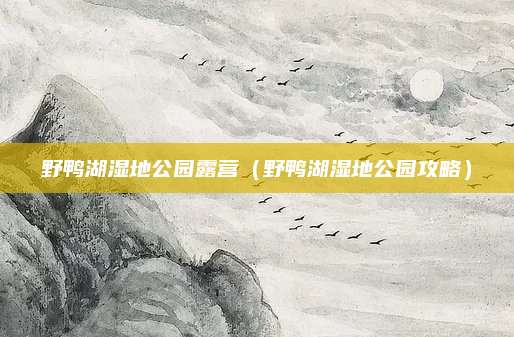 野鸭湖湿地公园露营（野鸭湖湿地公园攻略）
