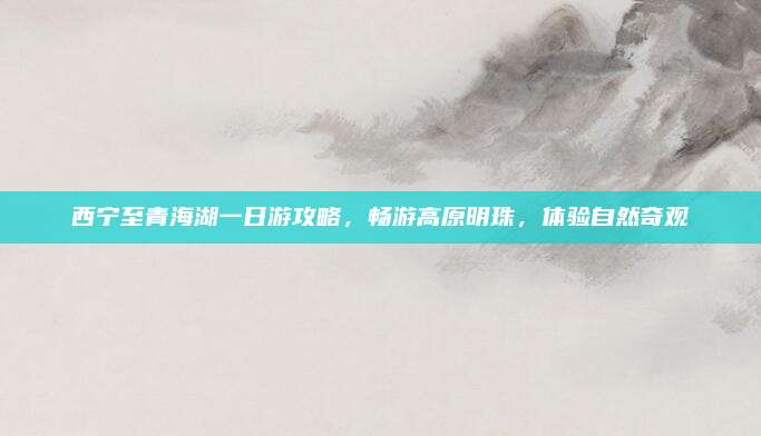 西宁至青海湖一日游攻略,畅游高原明珠,体验自然奇观