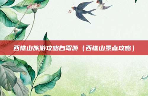 西樵山旅游攻略自驾游（西樵山景点攻略）