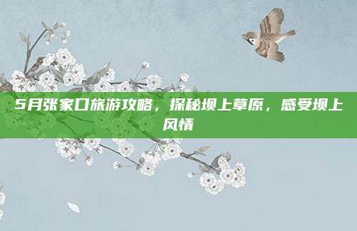5月张家口旅游攻略，探秘坝上草原，感受坝上风情