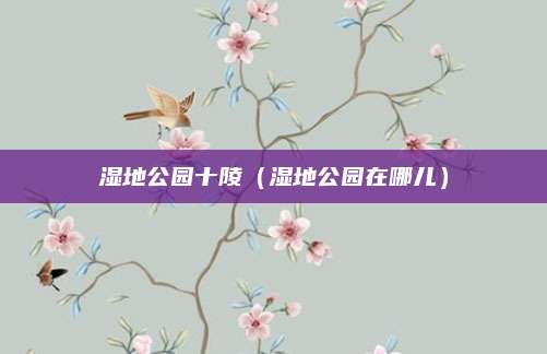 湿地公园十陵（湿地公园在哪儿）