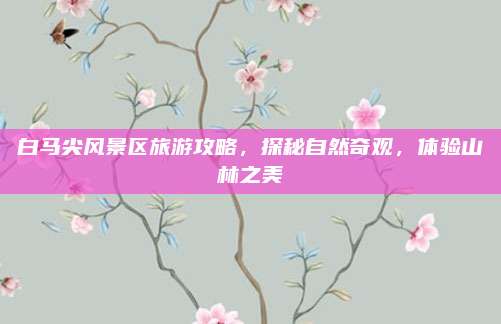 白马尖风景区旅游攻略,探秘自然奇观,体验山林之美