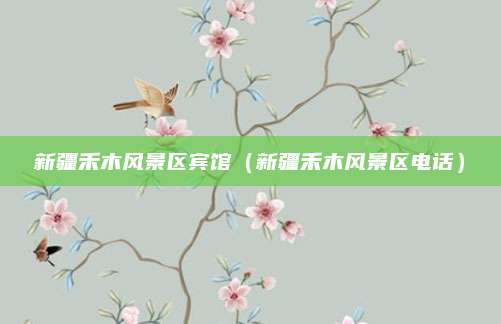 新疆禾木风景区宾馆（新疆禾木风景区电话）