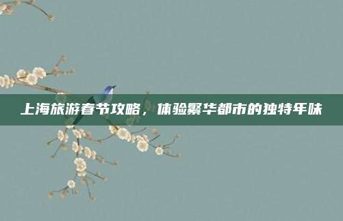 上海旅游春节攻略,体验繁华都市的独特年味