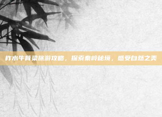 柞水牛背梁旅游攻略,探索秦岭秘境,感受自然之美