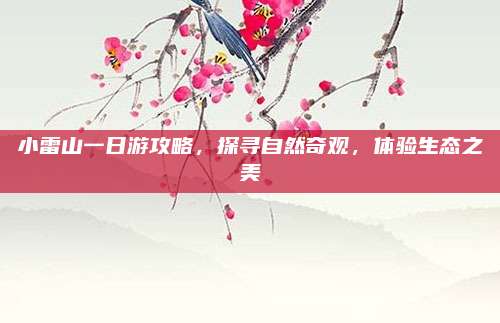 小雷山一日游攻略，探寻自然奇观，体验生态之美