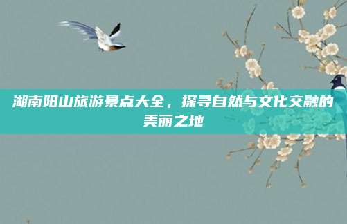 湖南阳山旅游景点大全,探寻自然与文化交融的美丽之地