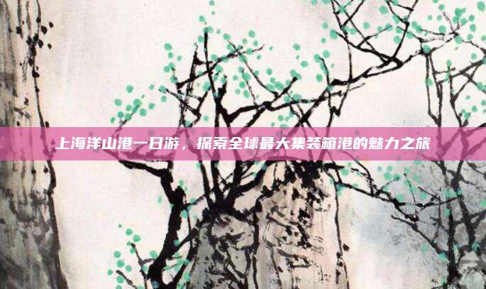 上海洋山港一日游,探索全球最大集装箱港的魅力之旅