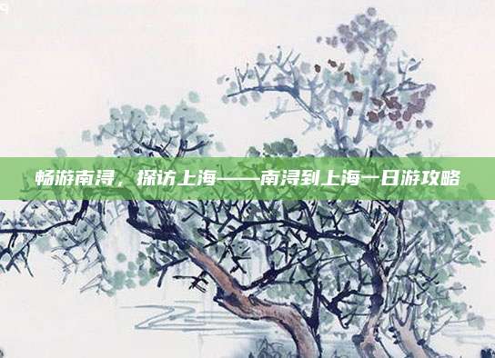 畅游南浔，探访上海——南浔到上海一日游攻略