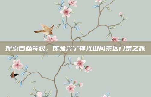 探索自然奇观，体验兴宁神光山风景区门票之旅