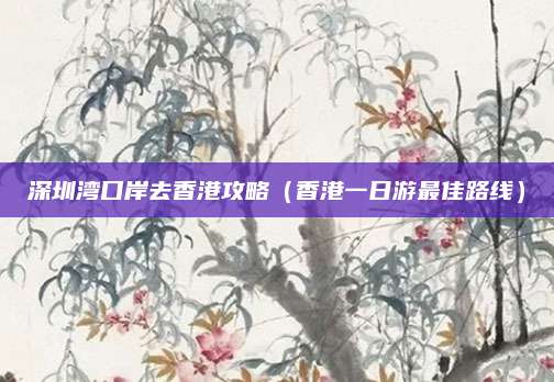 深圳湾口岸去香港攻略（香港一日游最佳路线）
