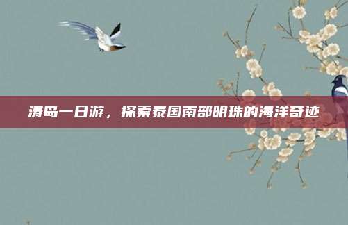 涛岛一日游,探索泰国南部明珠的海洋奇迹