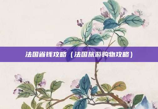 法国省钱攻略(法国旅游购物攻略)
