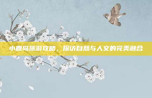 小鹿岛旅游攻略，探访自然与人文的完美融合