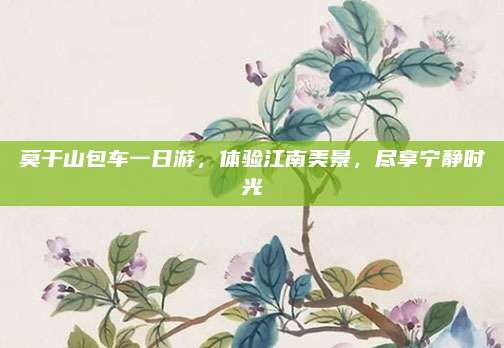 莫干山包车一日游，体验江南美景，尽享宁静时光