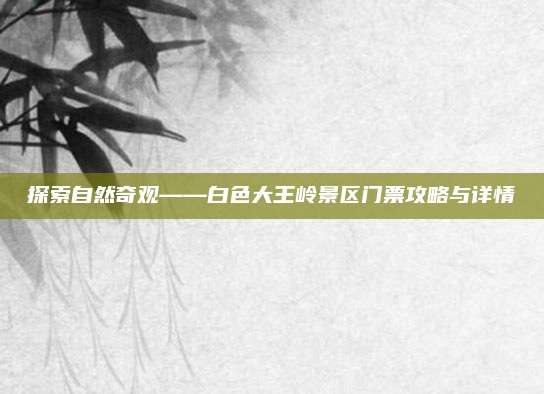 探索自然奇观——白色大王岭景区门票攻略与详情