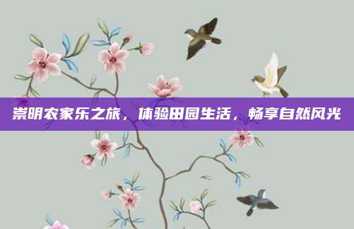 崇明农家乐之旅，体验田园生活，畅享自然风光
