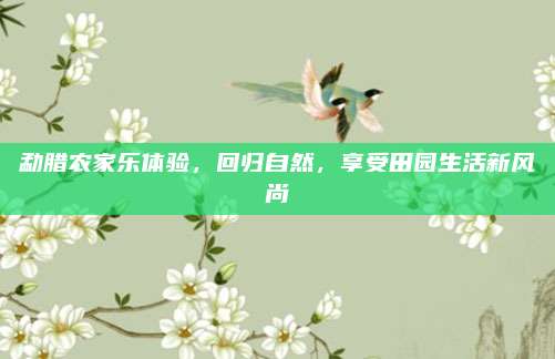勐腊农家乐体验，回归自然，享受田园生活新风尚