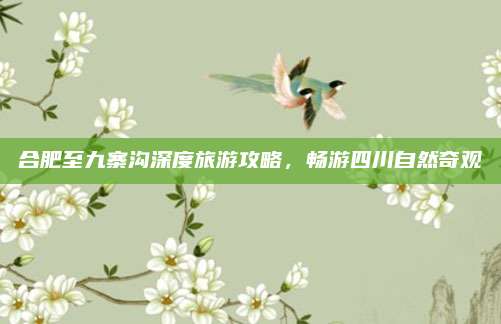 合肥至九寨沟深度旅游攻略,畅游四川自然奇观
