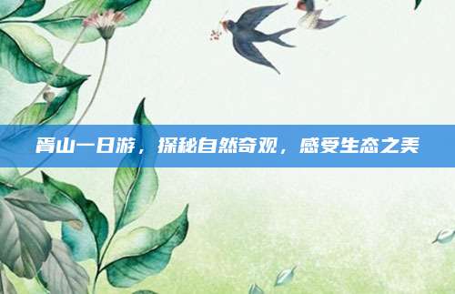 胥山一日游,探秘自然奇观,感受生态之美