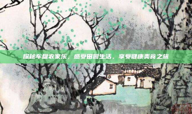探秘车盘农家乐,感受田园生活,享受健康美食之旅