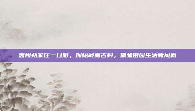 惠州劲家庄一日游，探秘岭南古村，体验田园生活新风尚