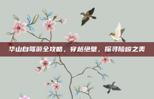 华山自驾游全攻略，穿越绝壁，探寻险峻之美