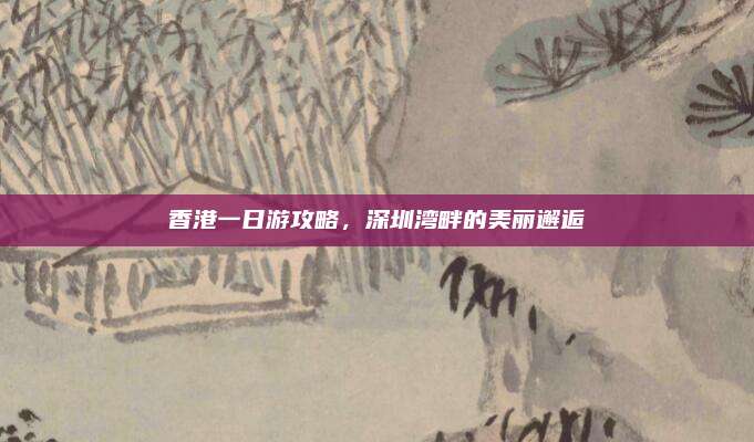 香港一日游攻略,深圳湾畔的美丽邂逅